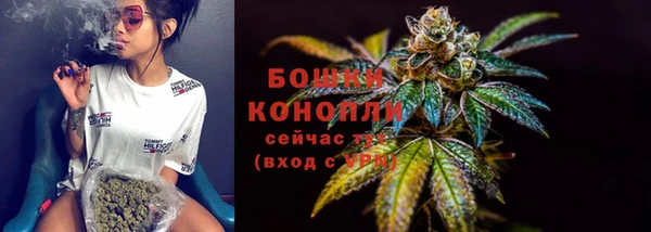 метадон Богданович
