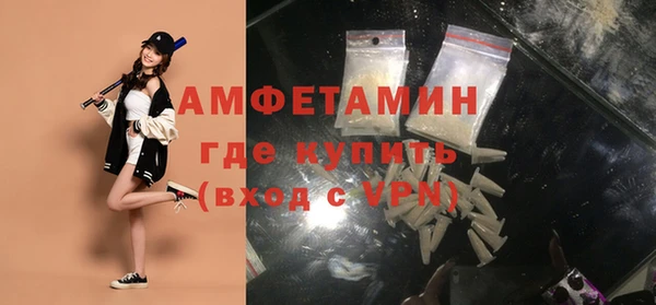 метадон Богданович