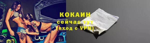 метадон Богданович