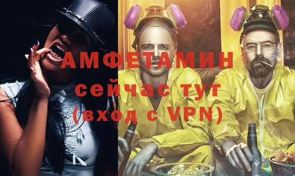 метадон Богданович