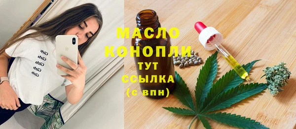метадон Богданович