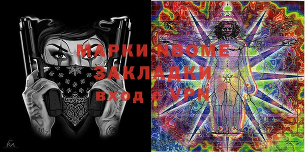 мдпв Бородино