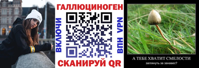 Псилоцибиновые грибы мицелий Гороховец